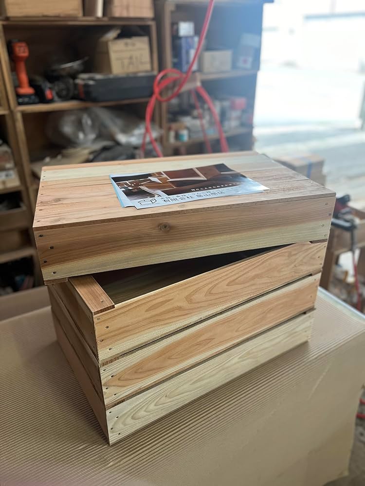 81orpFVuKXL._AC_UF1000,