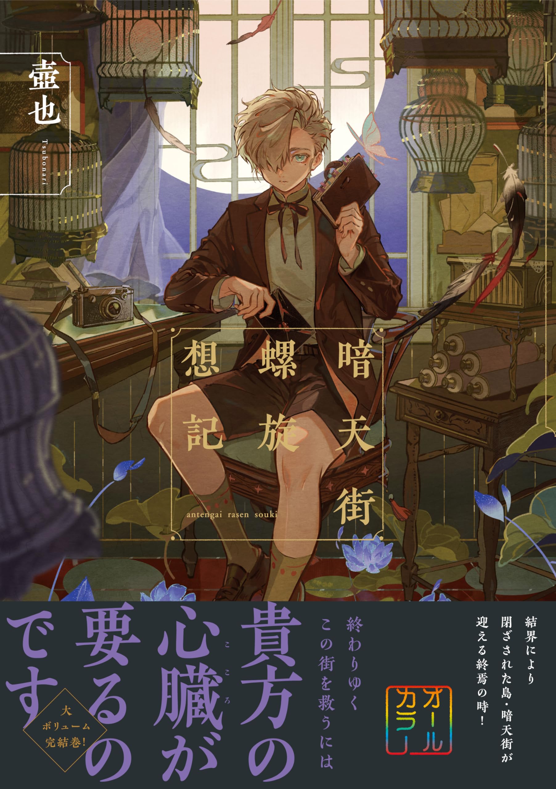 暗天街螺旋想記 (リュエルコミックス) | 壺也 |本 | 通販 | Amazon