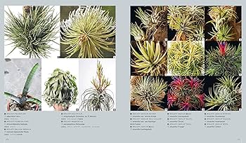 多肉植物全書 All about SUCCULENTS | パワポン・スパナンタナーノン