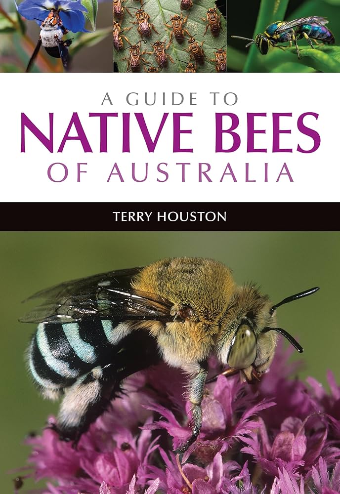 Amazon | A Guide to Native Bees of Australia | Houston, Terry