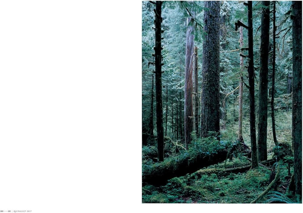 上田義彦写真集 FOREST ー 印象と記憶 1989-2017 | 上田 義彦 |本