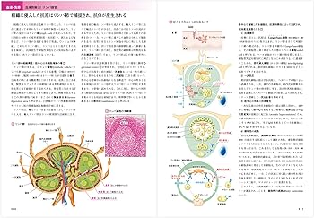 カラー図解 人体の正常構造と機能(全10巻縮刷版・全1冊)第5版最新版