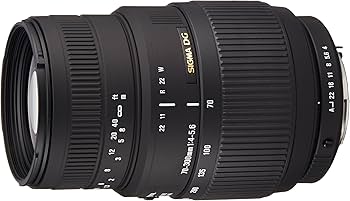 Amazon.co.jp: SIGMA 望遠ズームレンズ 70-300mm F4-5.6 DG MACRO