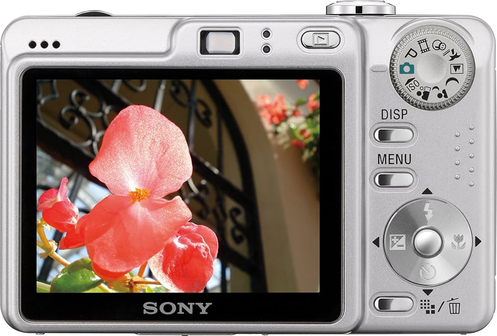 Sony Cybershot DSCW55 7.2MP Digital Camera with 3x Optical Zoom