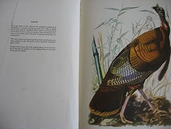 81q0laKlD8L._AC_UF350,