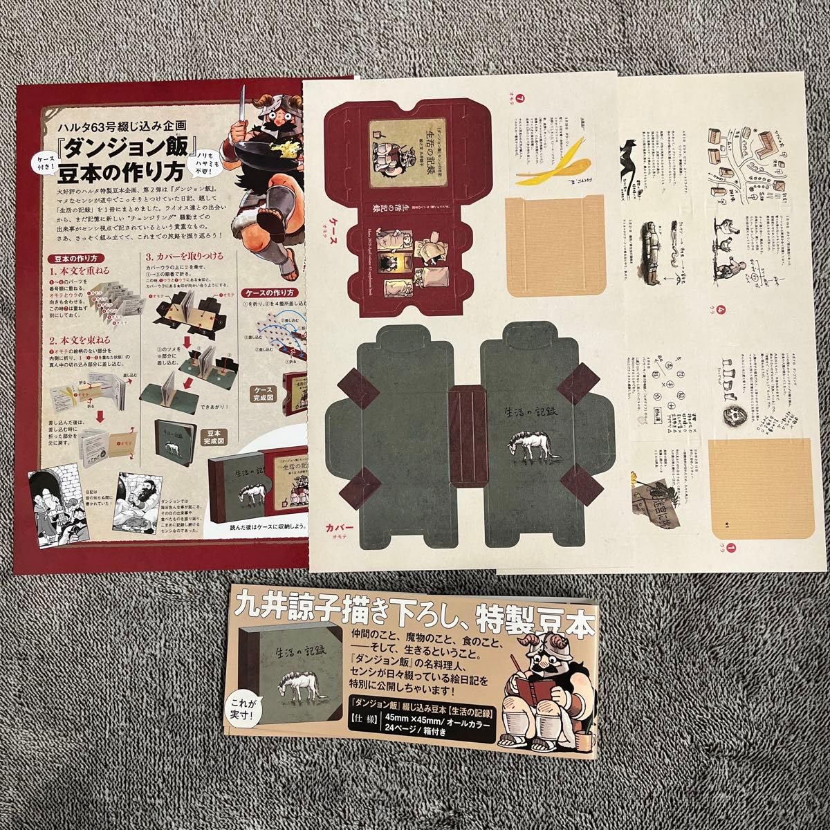 Amazon.co.jp: HARTA ハルタ 63 ダンジョン飯 生活の記録 付録 九井