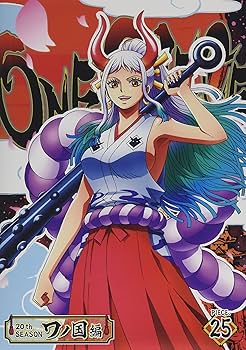 Amazon.co.jp: ONE PIECE ワンピース 20THシーズン ワノ国編 piece.25