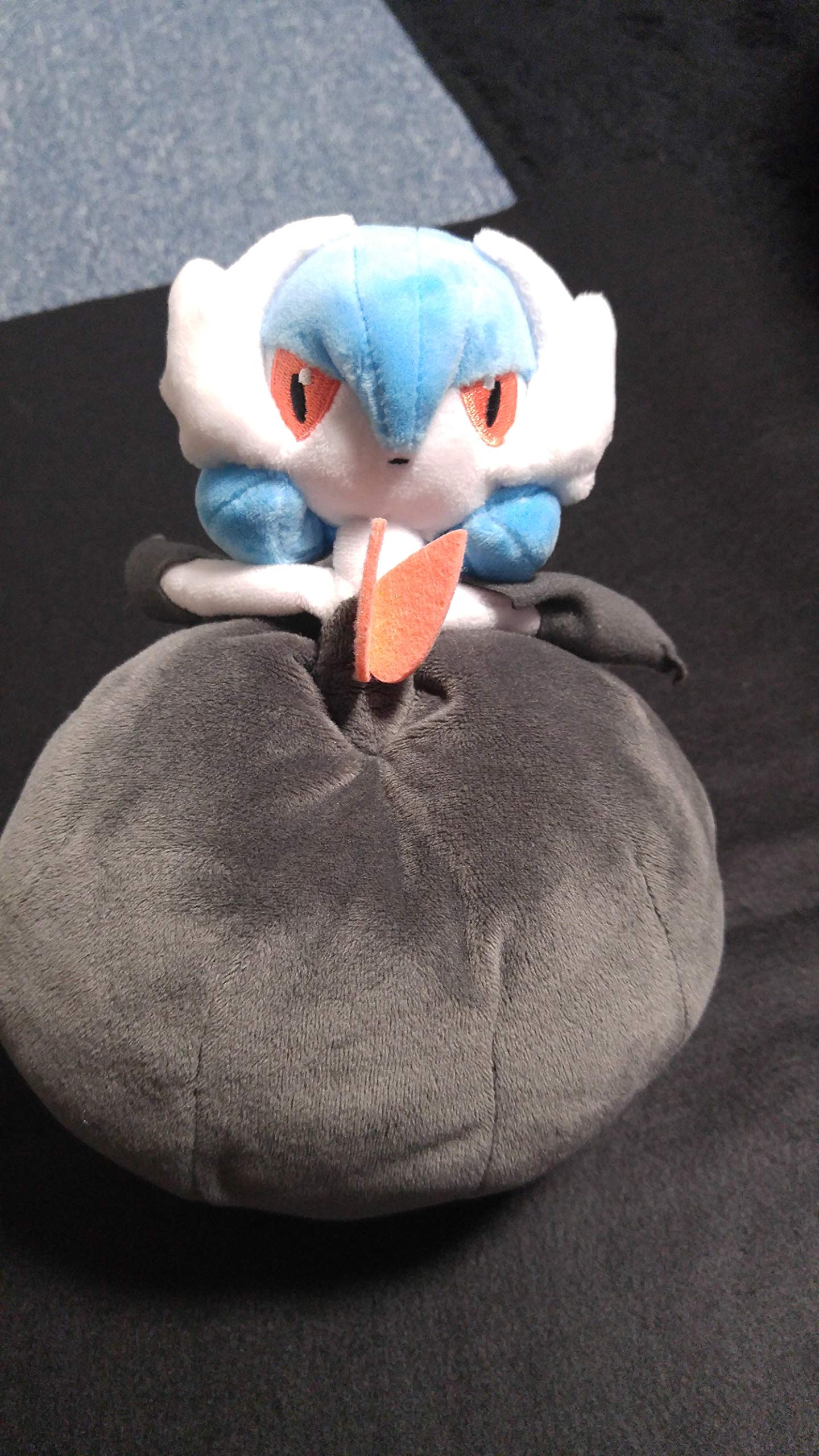 Amazon.co.jp: ポケモンセンターオリジナル ぬいぐるみ 黒いメガ