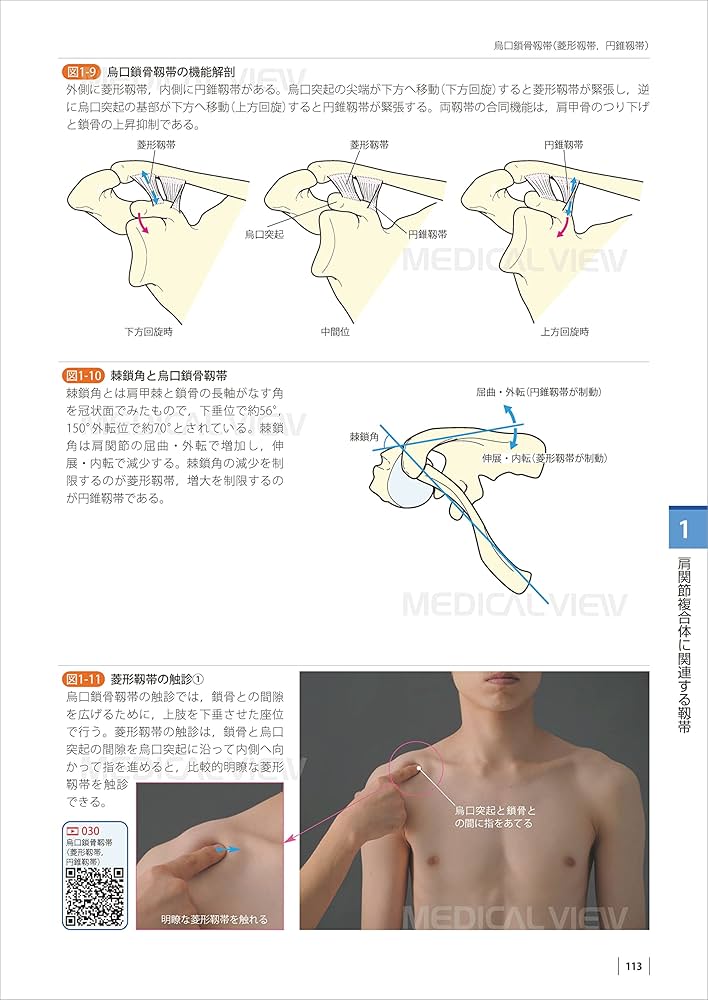 運動療法のための 機能解剖学的触診技術 動画プラス 上肢−改訂第2版