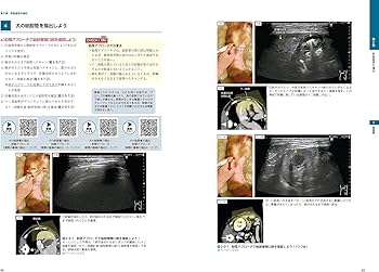 ビジュアルと動画でわかる！ 犬と猫の腹部超音波の描出レッスン 上巻