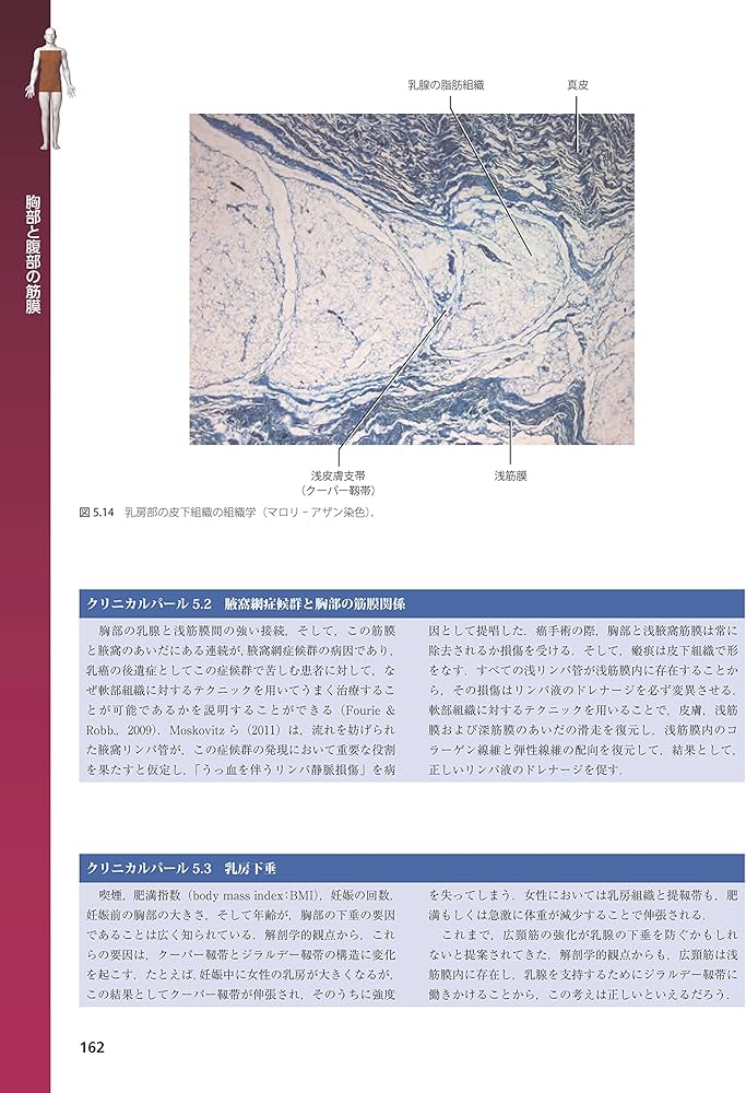 筋膜系の機能解剖アトラス | Carla Stecco, 竹井 仁 |本 | 通販 | Amazon