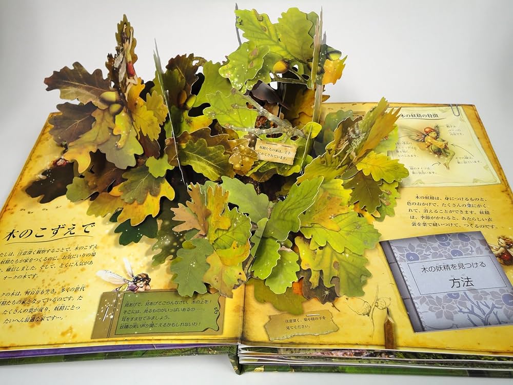 Amazon.co.jp: フラワ-・フェアリ-ズ(花の妖精たち)のお話 (とびだし