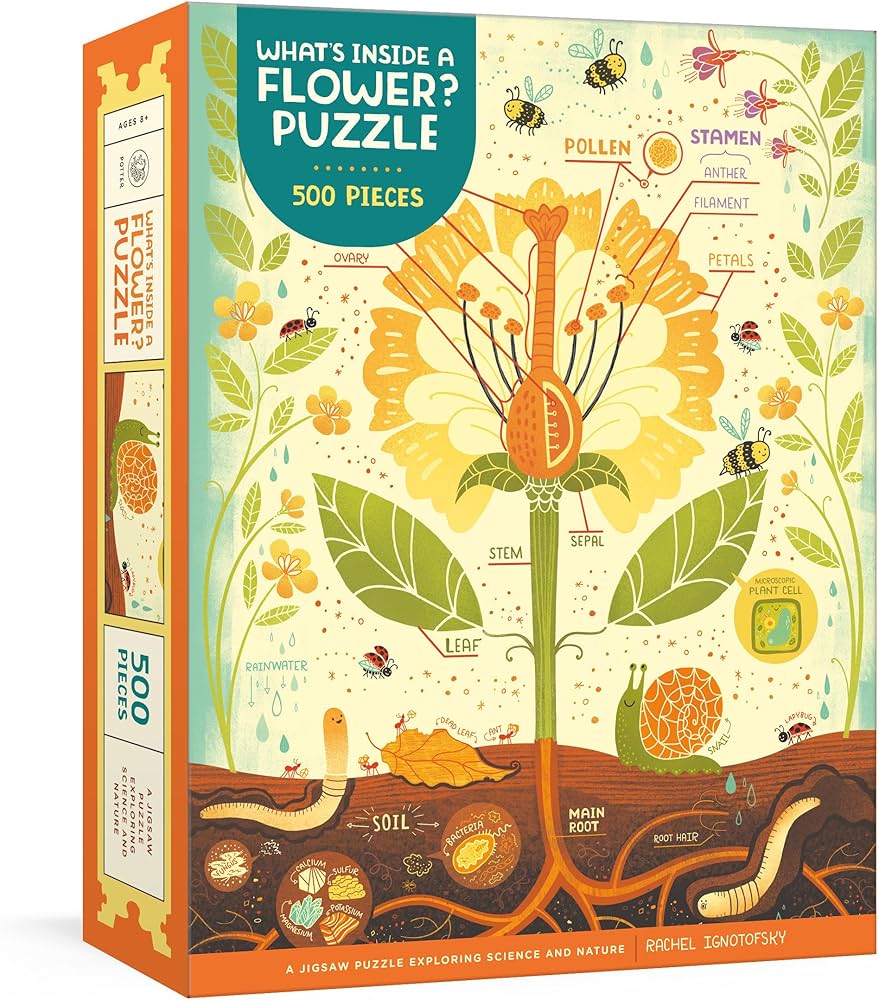 What's Inside a Flower? Puzzle: Exploring Science and Nature 500