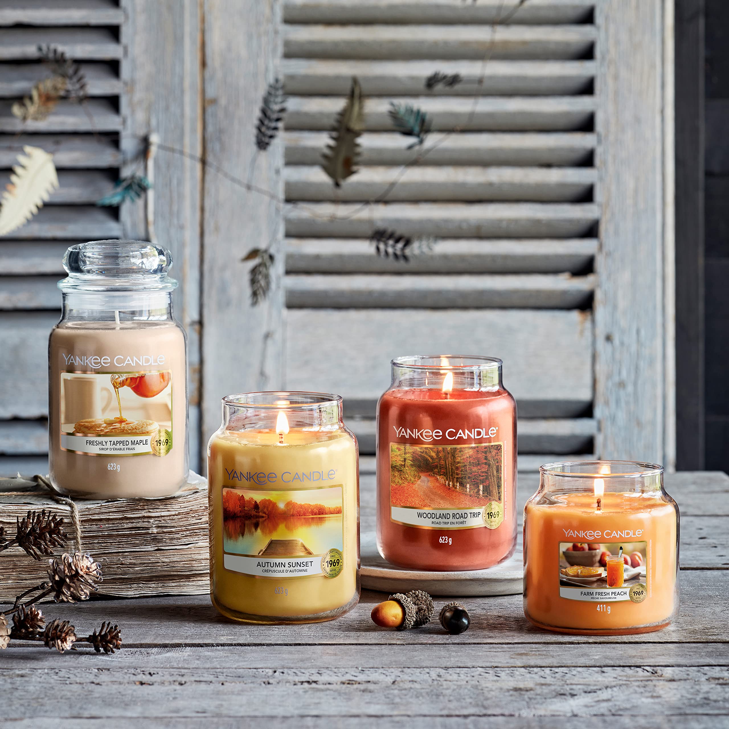 Amazon.com: Yankee Candle Candle, Woodland Road Trip, Medium