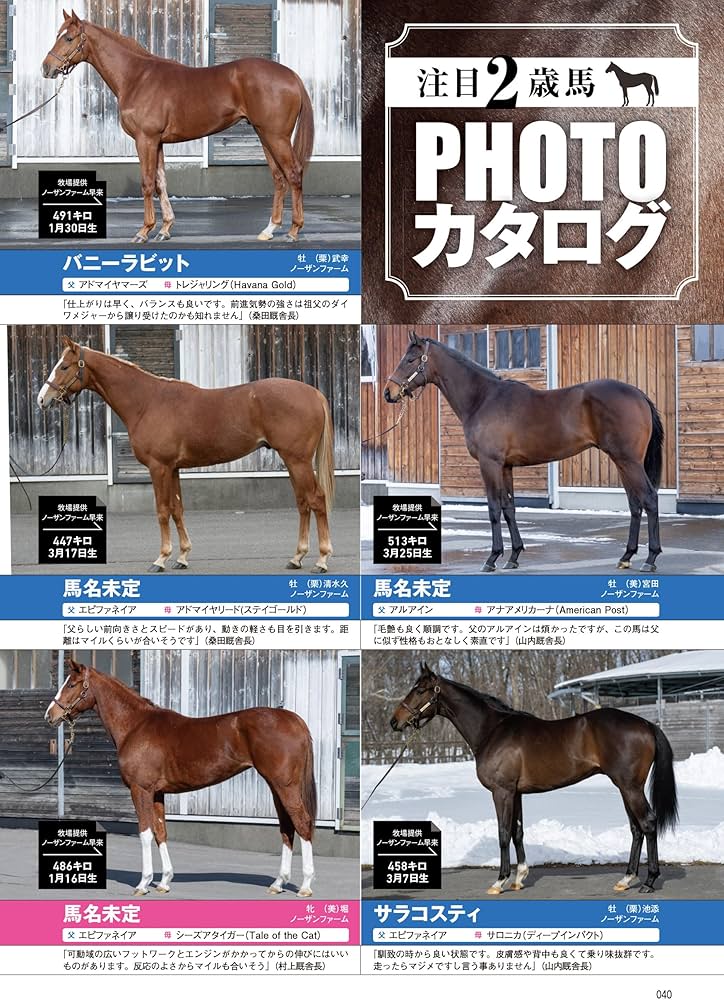 919qBzvOSvL._AC_UF1000,