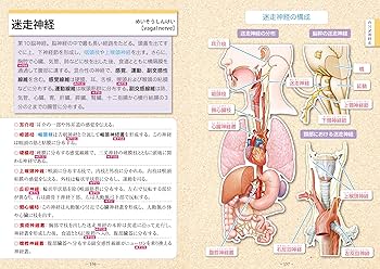 91+LrWl4gvL._AC_UF350,