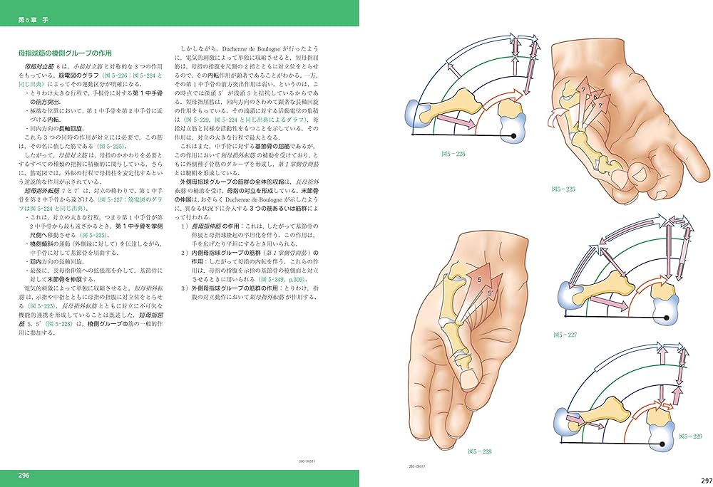 カラー版カパンジー機能解剖学 全3巻原著第6版I上肢 II下肢 III脊椎