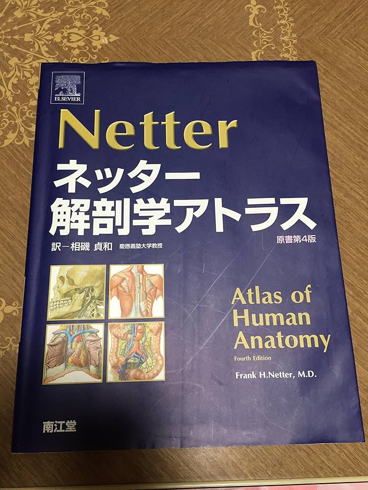 ネッター解剖学アトラス 原書第4版 | Netter,Frank H., 貞和, 相磯 |本
