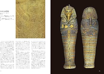 91tgCz9GpZL._AC_UF350,