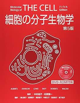 91t-u80WtuL._AC_UF350,