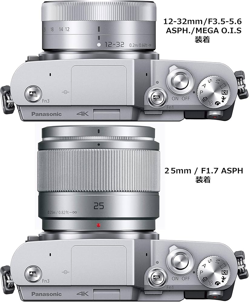 Amazon.co.jp: Panasonic Lumix GF9 Mirrorless Camera Double Zoom