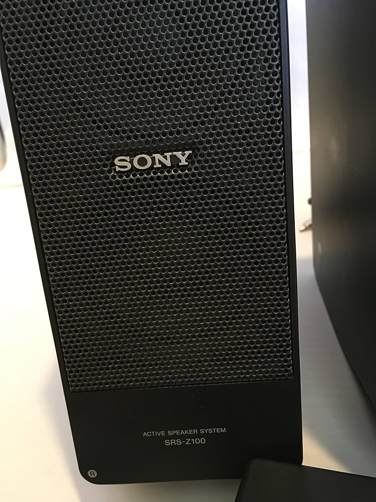 Amazon.co.jp: SONY アクティブスピーカーシステム Z100 SRS-Z100