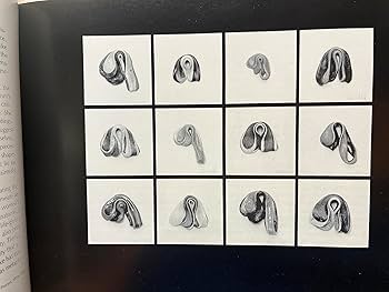 Hannah Wilke, a retrospective: Hannah Wilke, Thomas H. Kochheiser