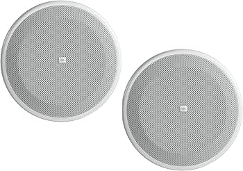 Amazon.com: JBL Professional C65P/T-WH Compact Full-Range Hanging