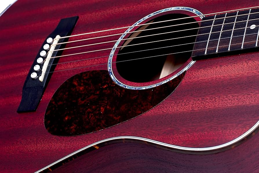 Amazon | S.Yairi ヤイリ Traditional Series アコースティックギター