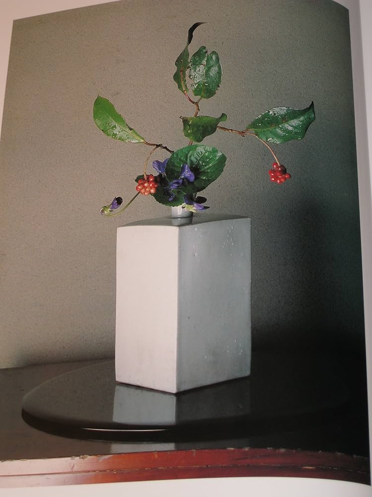 91GEOBX4mzL._AC_UF1000,