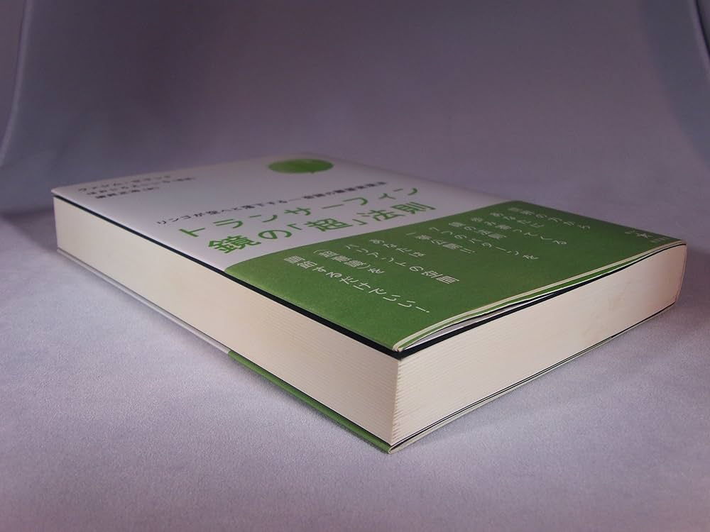 トランサーフィン鏡の「超」法則 リンゴが空へと落下する――奇跡の願望