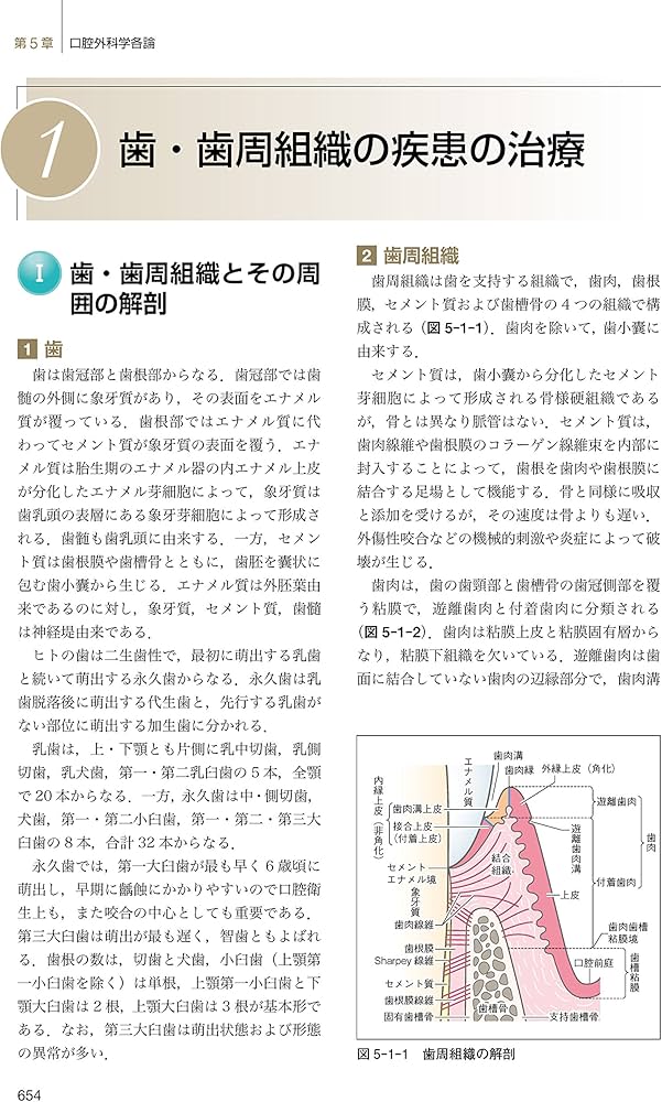 最新口腔外科学 第5版 Oral and Maxillofacial Surgery | 榎本 昭二