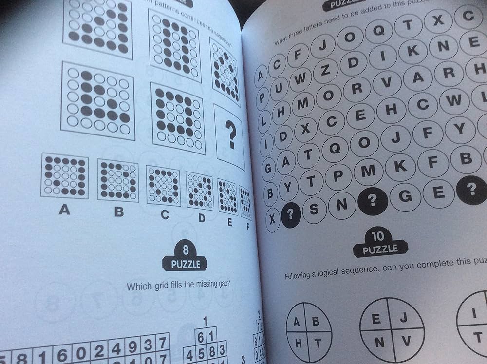 Iq Challenge: Cameron, Joe, Illustrated: 9781841930084: Amazon.com