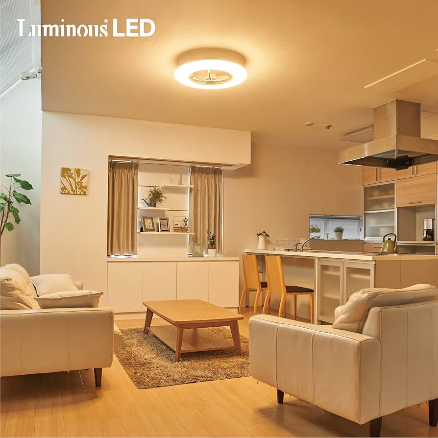 91IuXRTTDVL._AC_UF894,