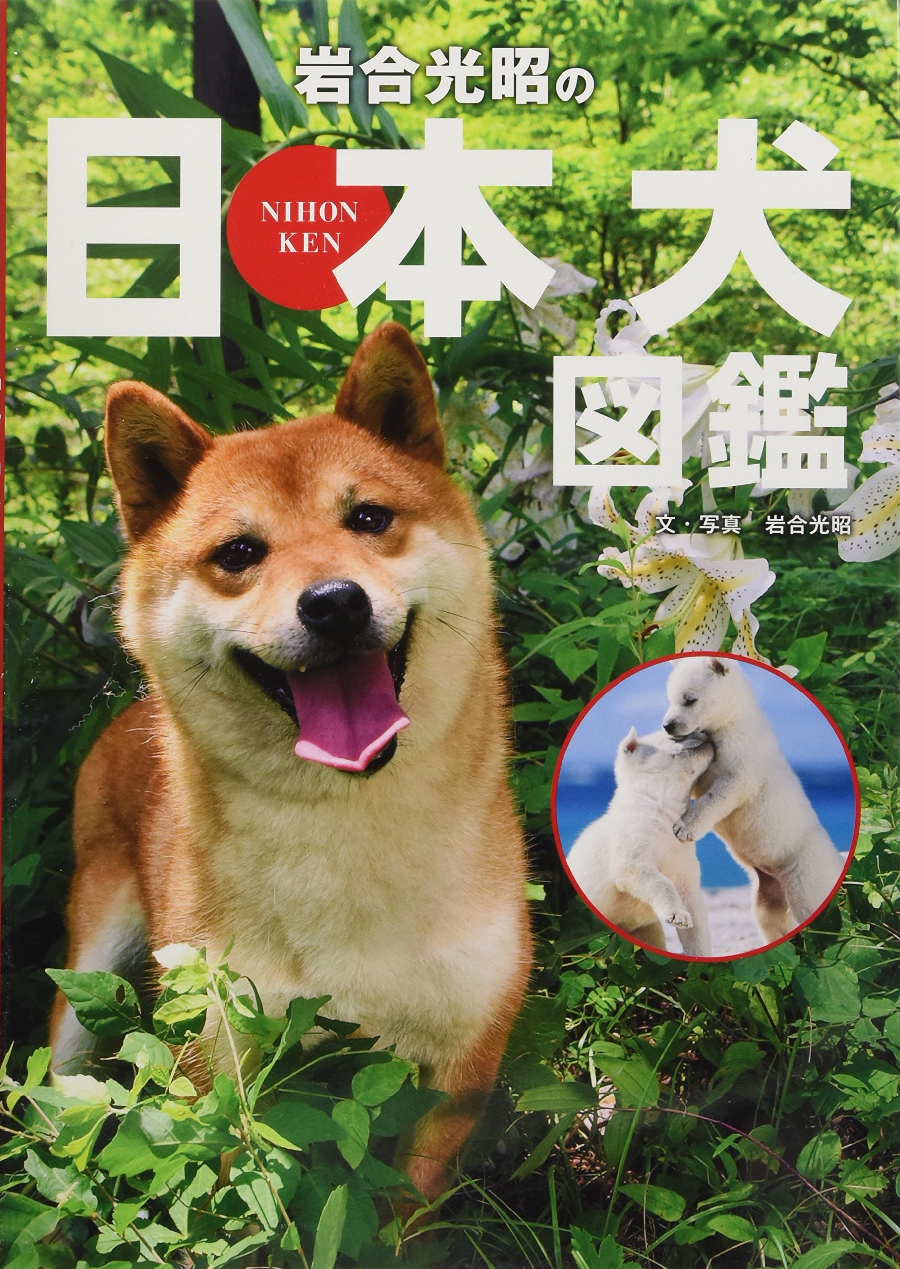 岩合光昭の日本犬図鑑 | 岩合光昭, 岩合光昭 |本 | 通販 | Amazon