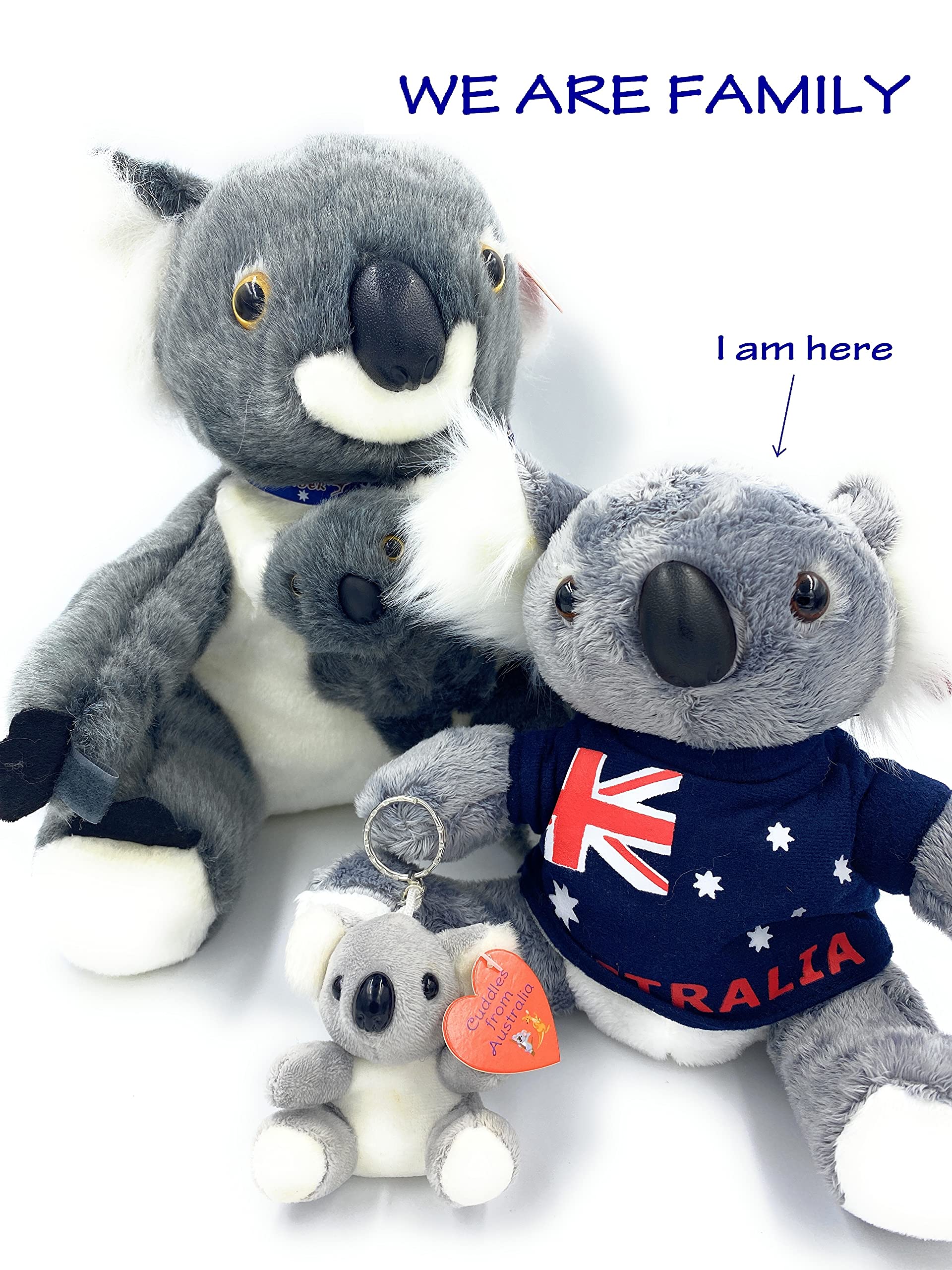 Amazon.co.jp: Aeisage コアラぬいぐるみ - 8インチ プラッシュ