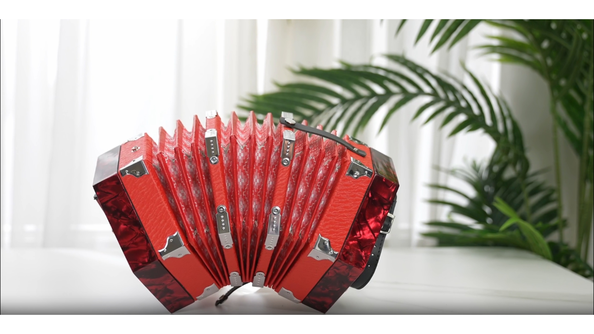 Amazon.com: Btuty Concertina 20-Key 40-Reed Anglo Style Accordion