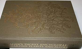 91MQk5uZefL._AC_UF350,