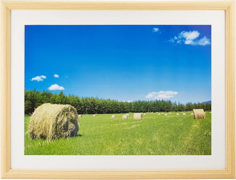 Amazon.co.jp: FUJICOLOR 額縁 YM-3 アクリル 木地 A3 木製 ベージュ