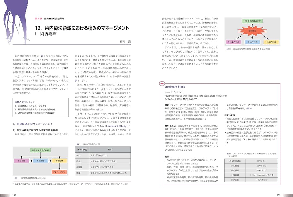 世界基準の臨床歯内療法 | 石井 宏 |本 | 通販 | Amazon