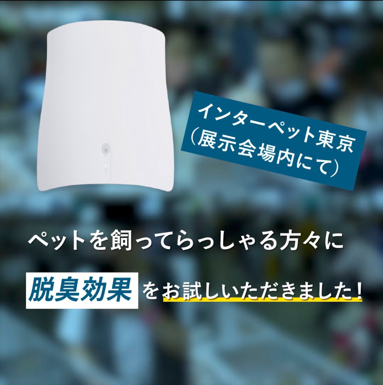 Amazon | サンスター クワイス QAIS-air- 04専用スタンド＋04本体の