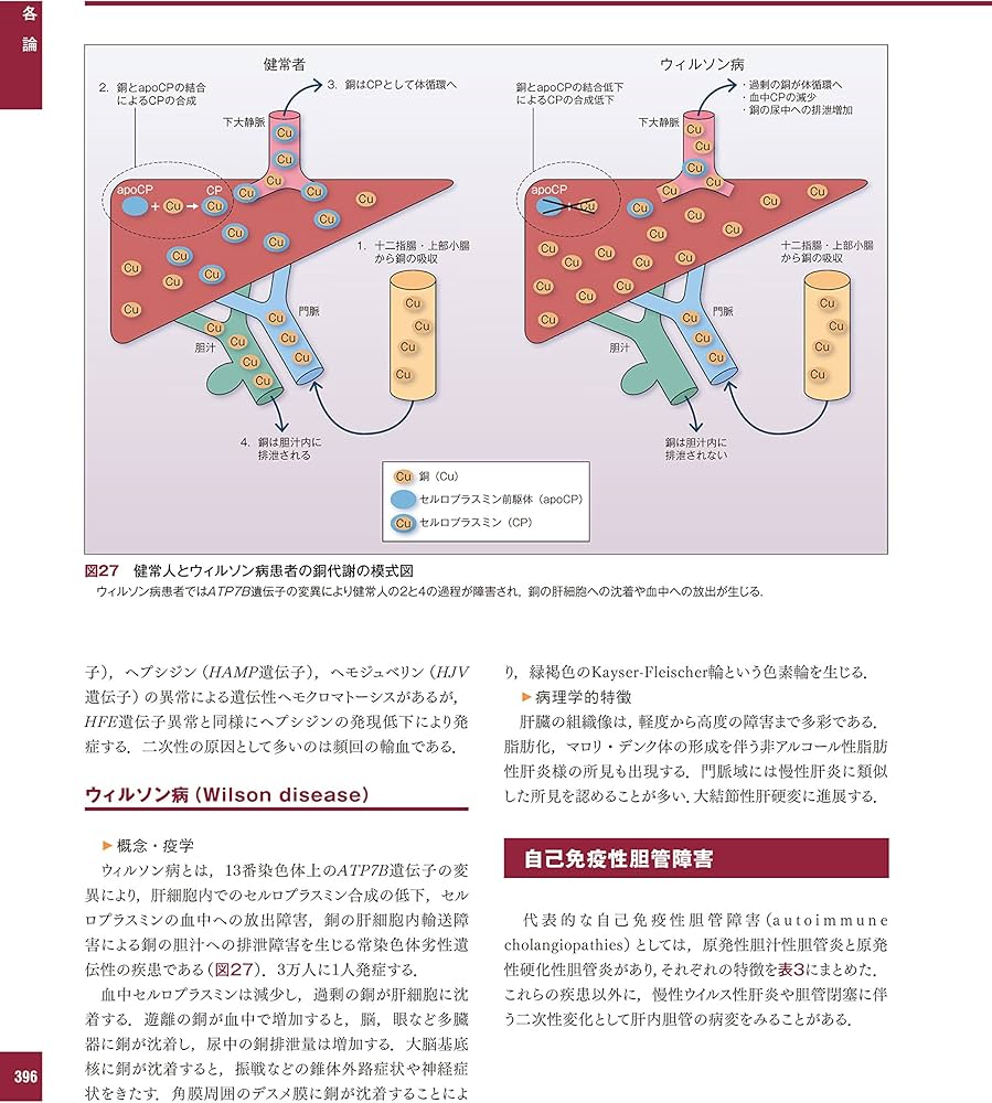 解明 病理学 第3版 病気のメカニズムを解く | 青笹克之, 加藤光保