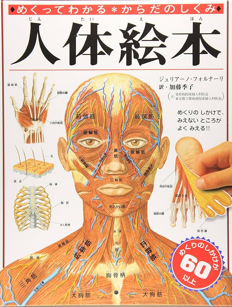 人体絵本: めくってわかる・からだのしくみ | ジュリアーノ
