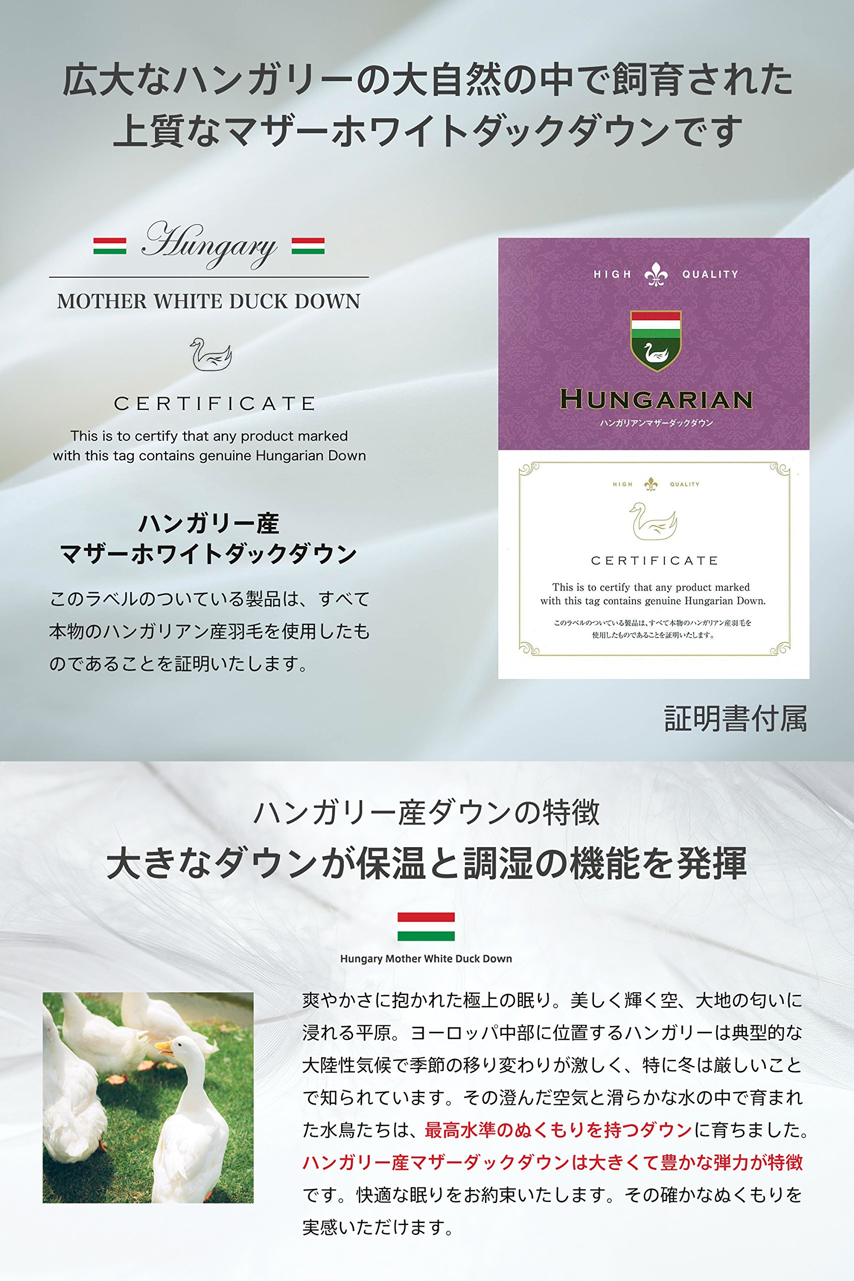 Amazon｜羽毛布団 セミダブル ハンガリー産 ホワイト マザーダック