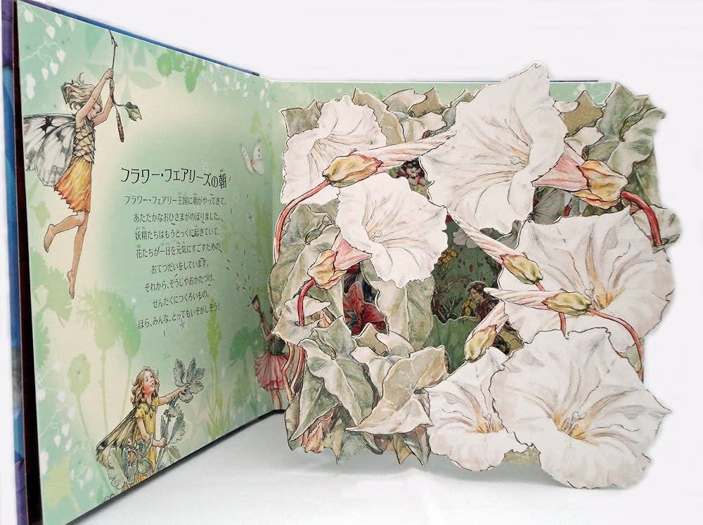 Amazon.co.jp: フラワー・フェアリーズ そっとのぞいて (のぞき
