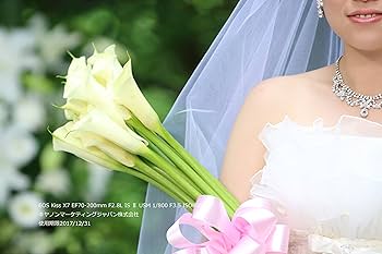 Amazon.co.jp: Canon Digital Single-lens Reflex Camera EOS Kiss X7