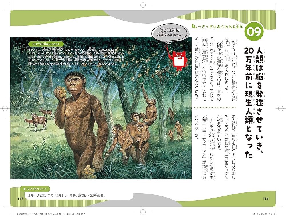 ニュートン科学の学校シリーズ 地球の学校 | 倉本 圭 |本 | 通販 | Amazon