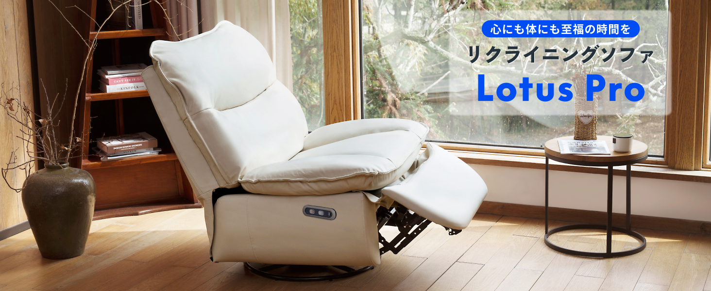 Amazon｜FLEXISPOT リクライニングチェア ソファー 1人 Lotus Pro