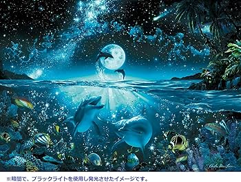 91fTvqfDJ9L._AC_UF350,