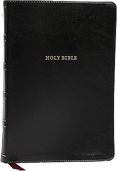 91gINEptK2L._AC_UF350,